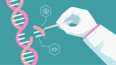 Un español ensaya un nuevo CRISPR más eficaz