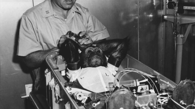 enos durante su insercion en uan capsula