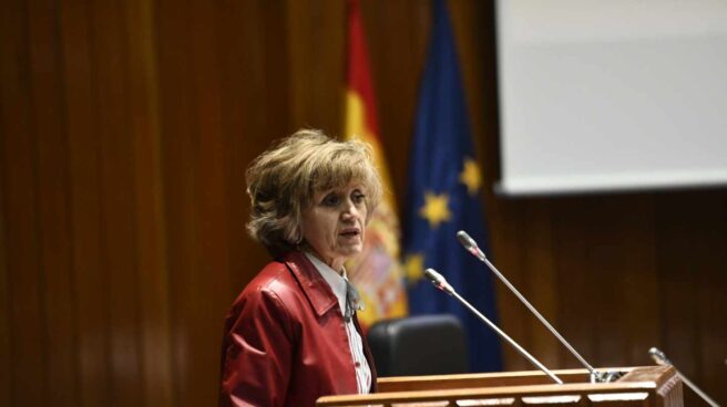 La ministra de Sanidad, Consumo y Bienestar Social, María Luisa Carcedo. La ministra de Sanidad, Consumo y Bienestar Social, María Luisa Carcedo.