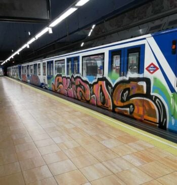 Detenidas 29 personas acusadas de realizar 287 grafitis en trenes de toda [...]