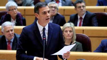 Los letrados del Senado dictaminan que Sánchez sí tiene que acudir al pleno