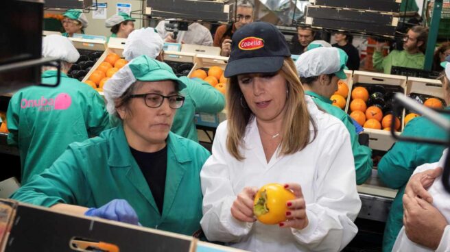 Susana Díaz inspecciona frutas durante la visita a una cooperativa Susana Díaz visita una cooperativa agrícola en Lepe durante la campaña electoral.