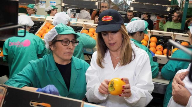 Susana Díaz visita una cooperativa agrícola en Lepe durante la campaña electoral.