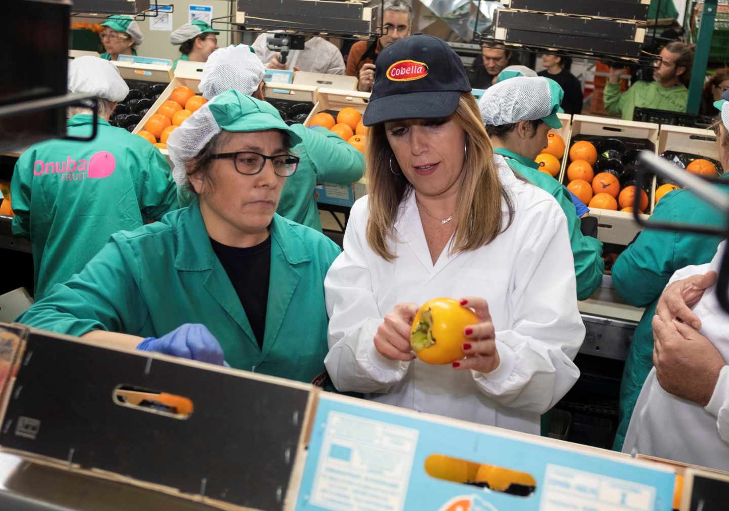 Susana Díaz visita una cooperativa agrícola en Lepe durante la campaña electoral.