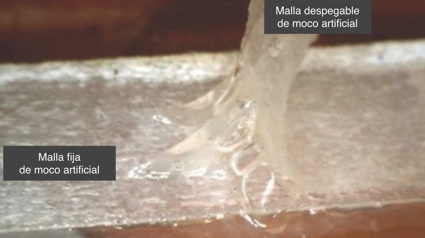 4 Canottiere Bambine Classic - Cotone Elasticizzato, Racerback, Per Ragazze 2-10 Anni, Multipack