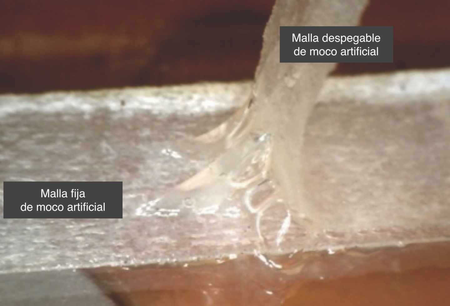 Fabricar el moco perfecto para luchar contra enfermedades pulmonares