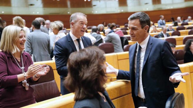 Pedro Sánchez este martes en el Senado