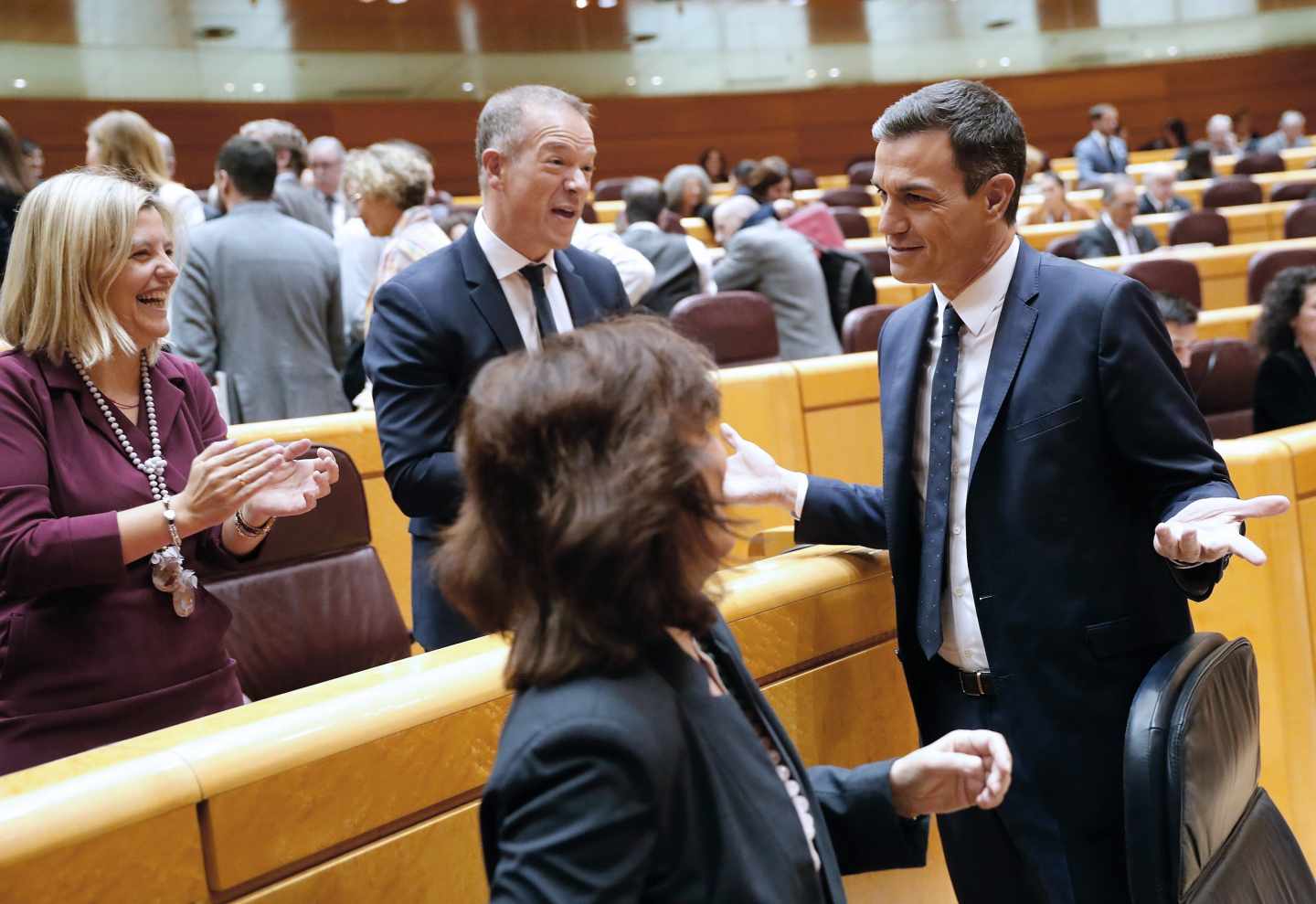 Pedro Sánchez este martes en el Senado