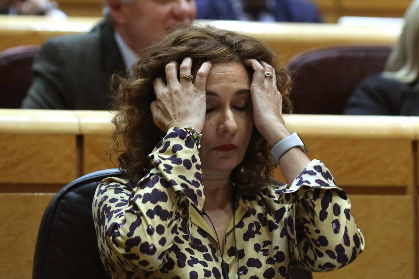 La ministra de Hacienda, María Jesús Montero, en el Senado.