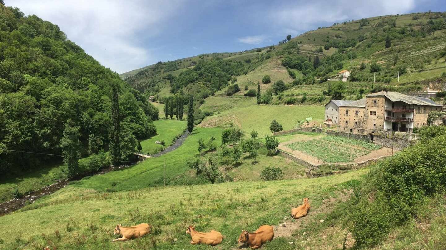 Cangas del Narcea, AsturiasCangas del Narcea, Asturias