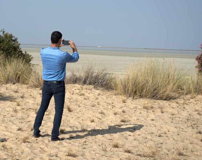 El Gobierno gasta 8.221 € en mosquiteras para el palacio de Doñana en vísperas de las vacaciones de Sánchez