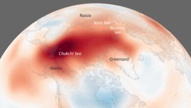 Los nueve puntos críticos del cambio climático que amenazan a la humanidad