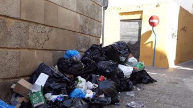 La basura esconde manjares