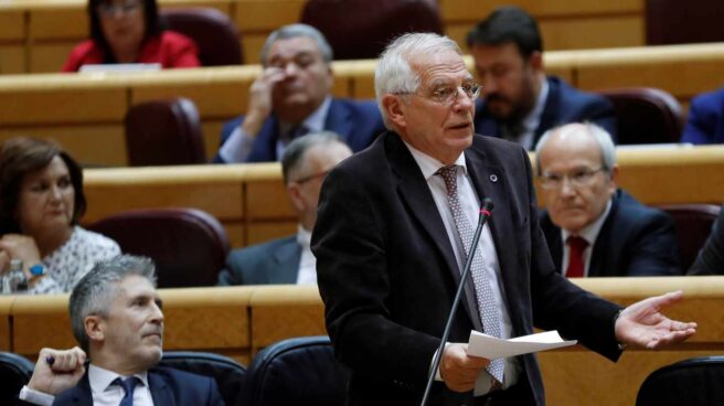 El ministro de Exteriores Josep Borrell, durante una sesión en el Senado.