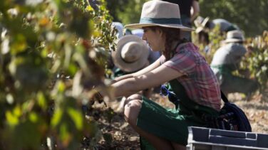Mujer, joven, extranjera y empleada en Extremadura o Andalucía, principal beneficiada de la reforma laboral