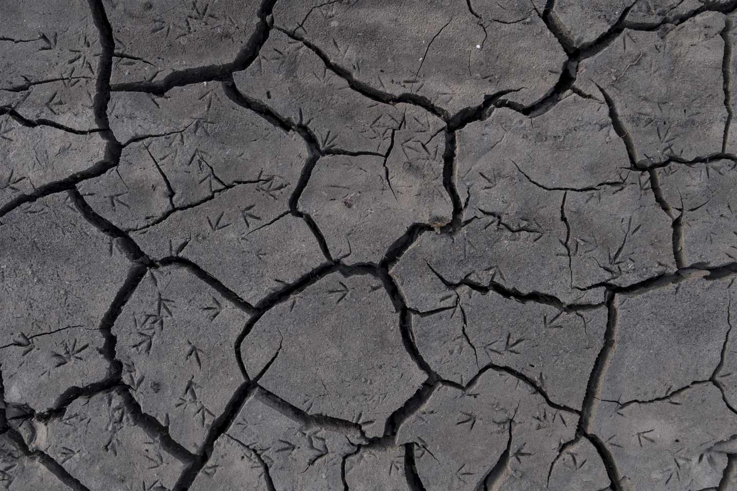 Un terreno agrietado por la sequía en la provincia de Orense.