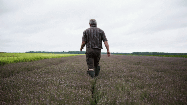 El peso de la agricultura ecológica