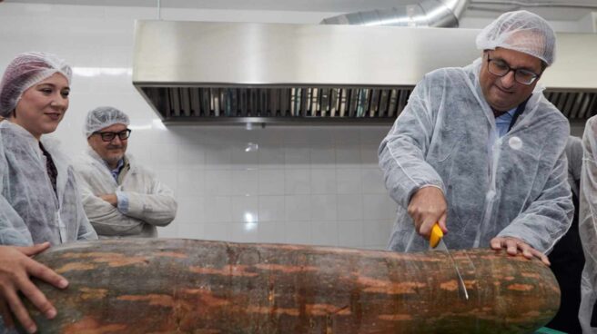 quim_torra_huelga_hambre_calabaza Quim Torra corta una enorme calabaza durante su visita a una empresa catalana.