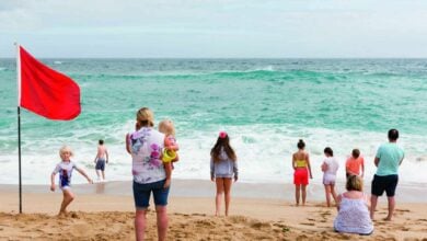 Retrato antes del Brexit, por Martin Parr