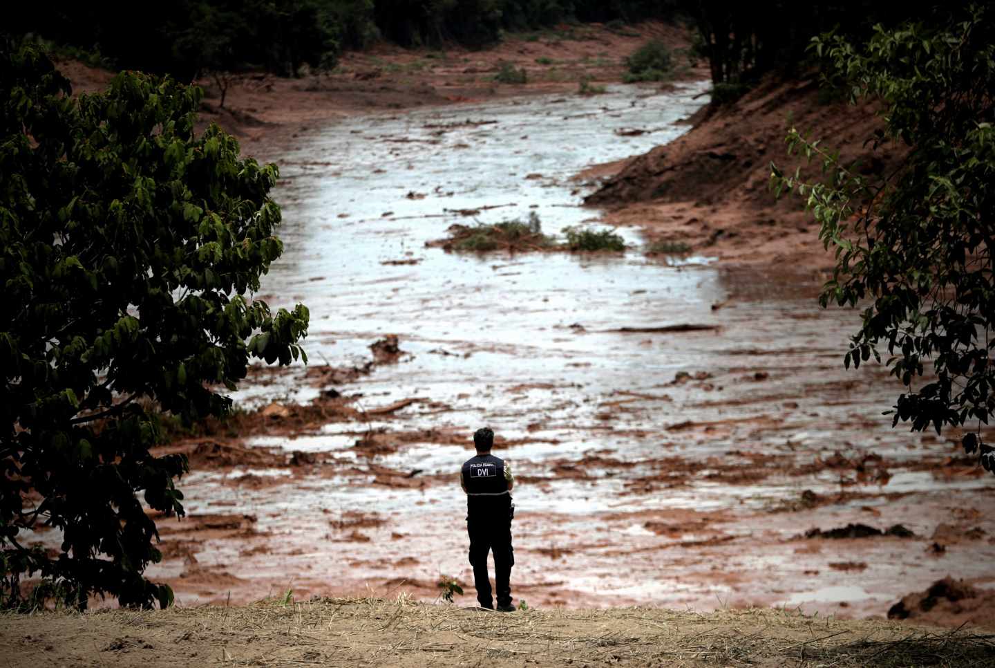 El mayor productor de hierro del mundo se desploma en bolsa tras el desastre minero de Brasil.