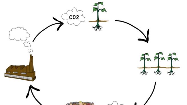 Tarjetas de crédito de carbono: la huella ecológica no tiene precio