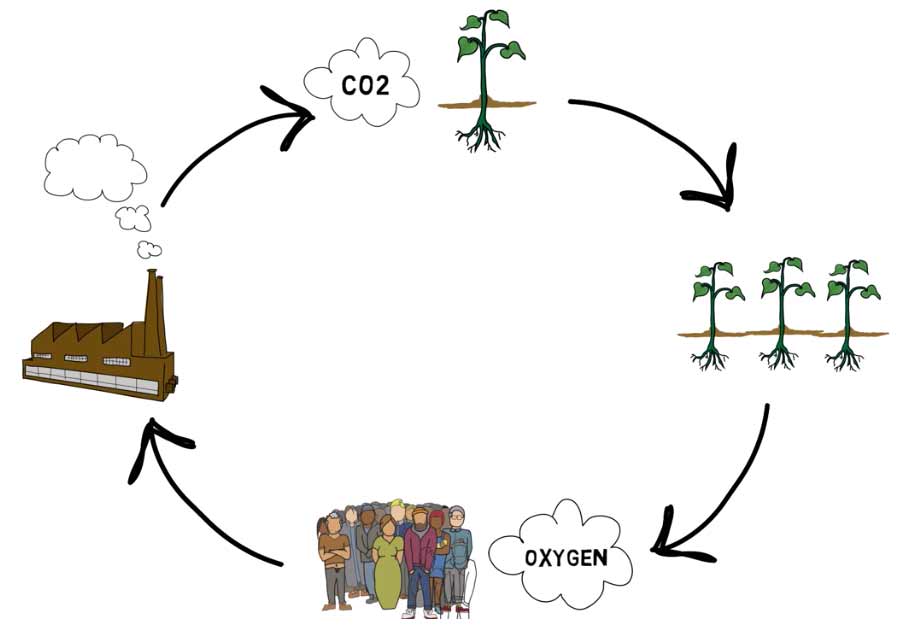 Tarjetas de crédito de carbono: la huella ecológica no tiene precio