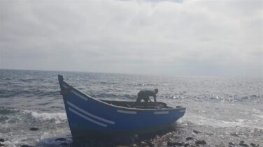 Cerca de 3.000 inmigrantes llegan en patera en la primera quincena de 2019