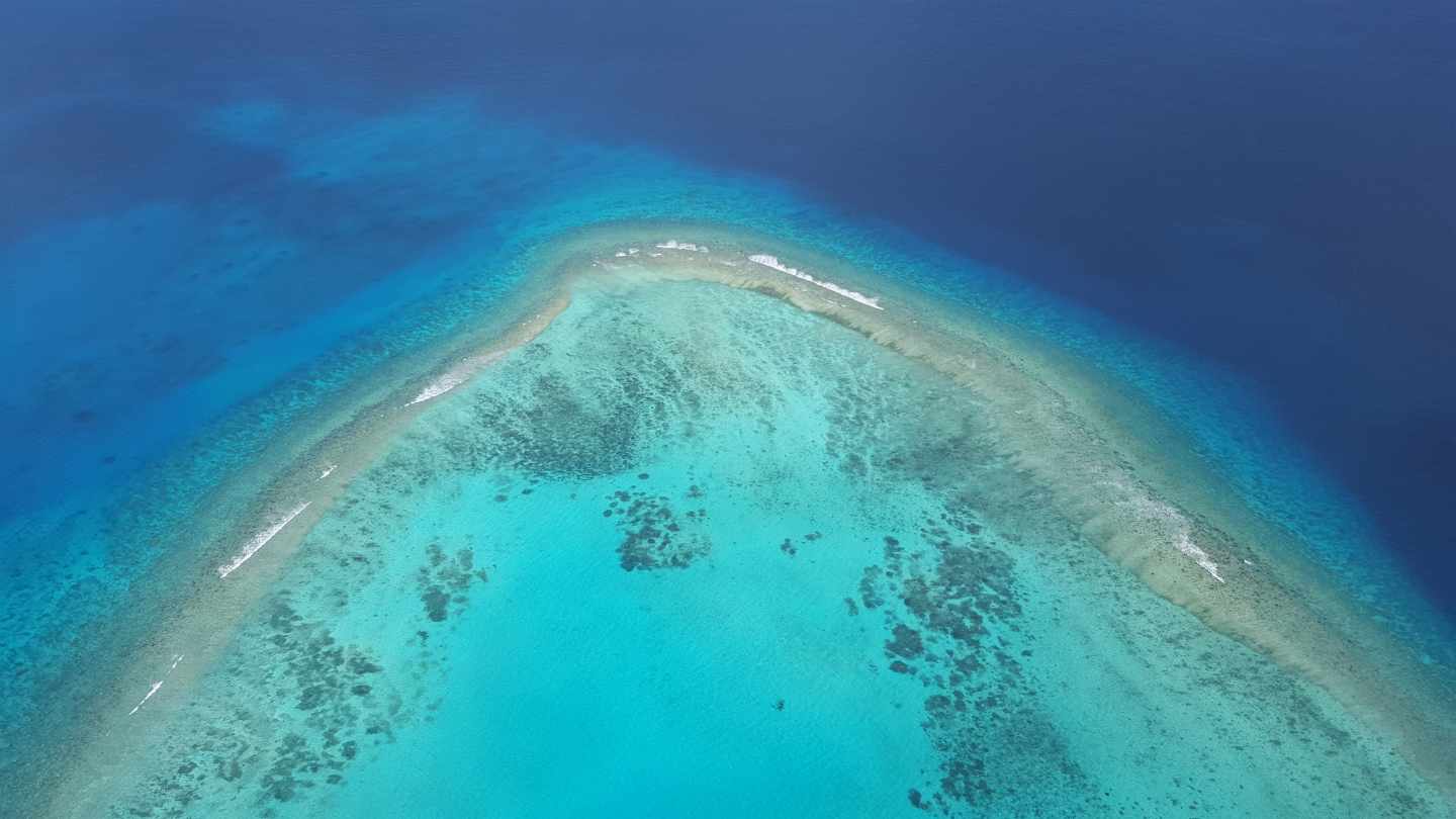 Las aguas de las profundidades del Océano Pacífico en Palaos (Micronesia).