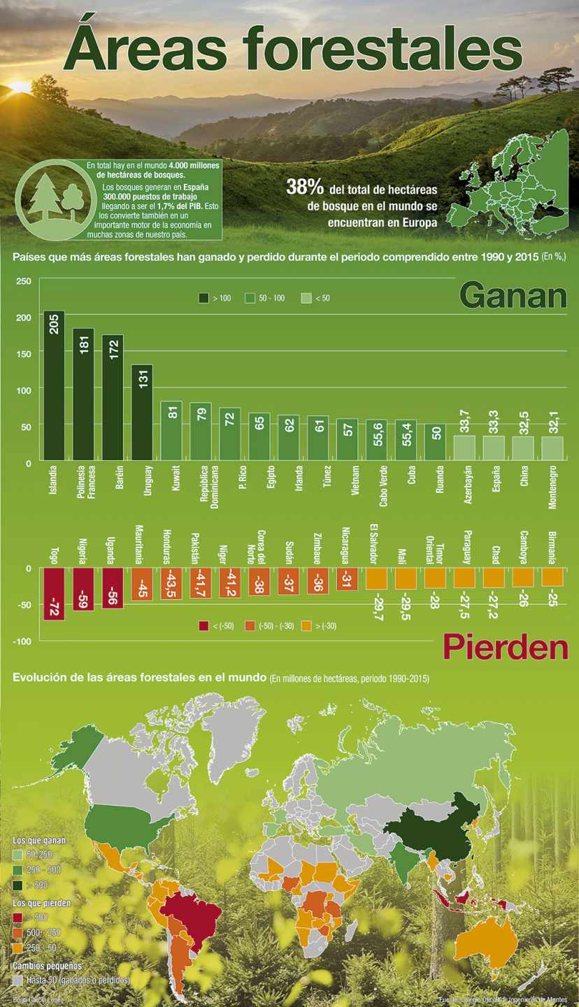 La superficie boscosa ha aumentado en España los últimos años.