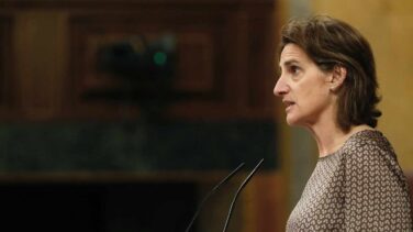 Ribera se siente "un poco" defraudada con Jordi Sevilla por su "modelo" para REE