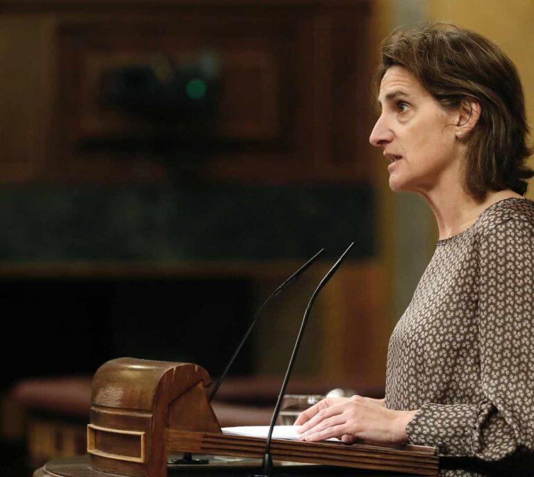 Ribera se siente "un poco" defraudada con Jordi Sevilla por su "modelo" para REE