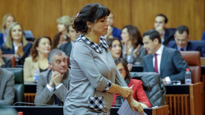 Teresa Rodríguez, en el pleno de investidura.