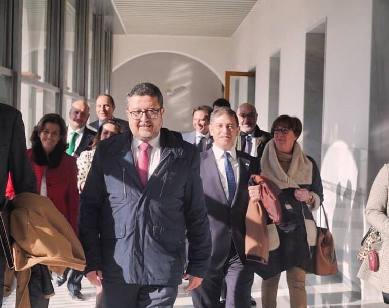 Vox exige al PP devolver competencias al Estado y expulsar a los inmigrantes ilegales