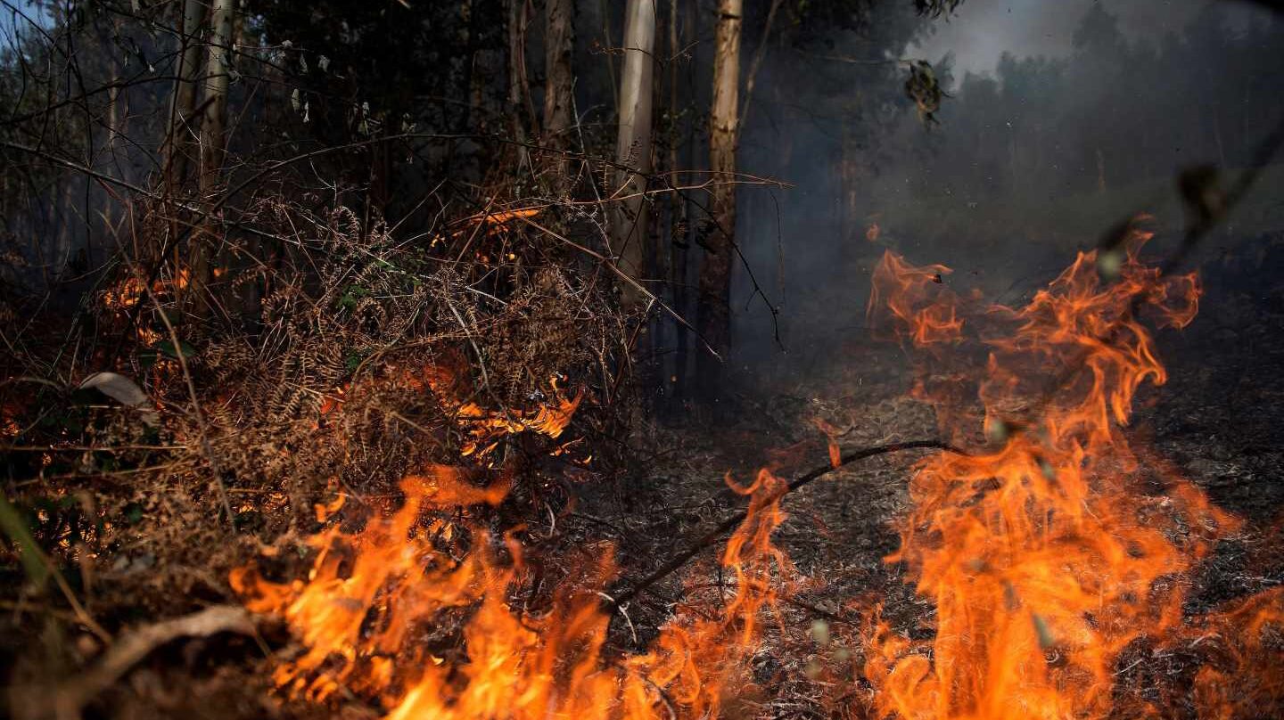 Llamas de un incendio en los montes próximos a la localidad cántabra de Ramales de la Victoria.