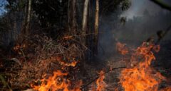 Detenido un jefe de voluntarios por los incendios en Cantabria