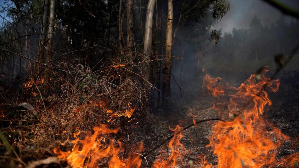 Llamas de un incendio en los montes próximos a la localidad cántabra de Ramales de la Victoria.