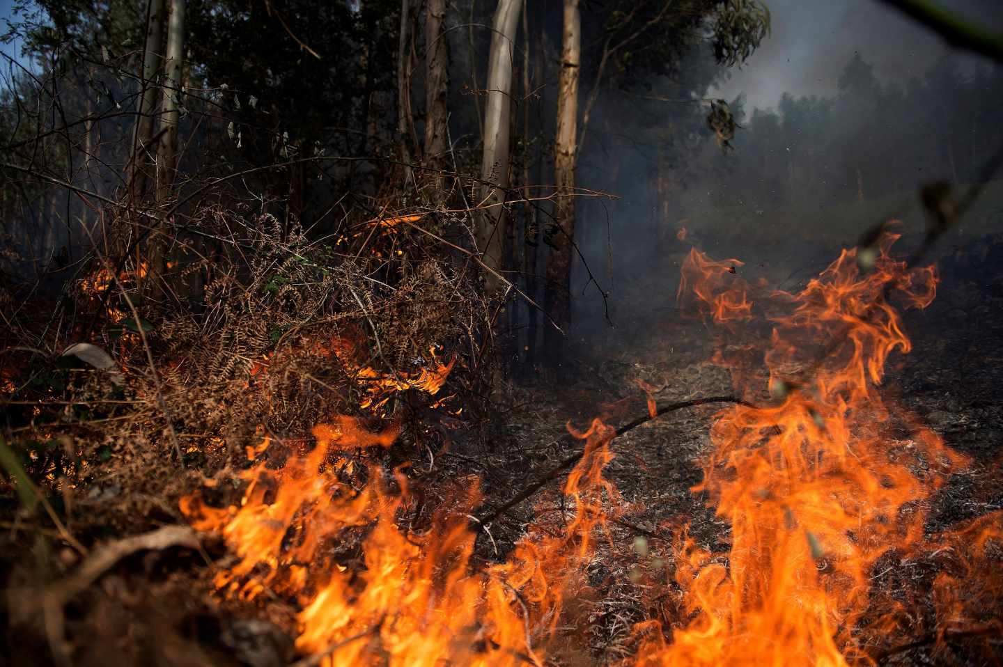 Llamas de un incendio en los montes próximos a la localidad cántabra de Ramales de la Victoria.