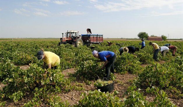 La Fiscalía de Valencia pide más de mil años para un clan que esclavizaba a trabajadores