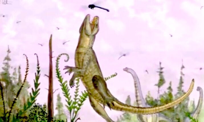 Pakasuchus kapilimai descubierto en Tanzania