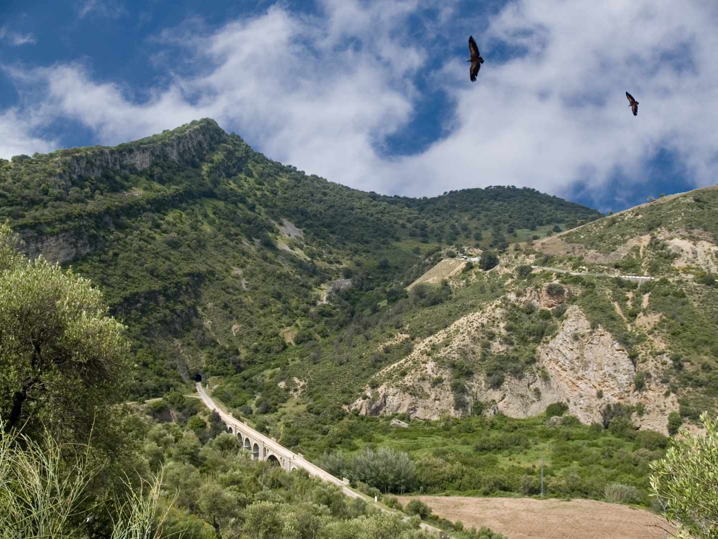 Vía Verde de la Sierra (Andalucía).