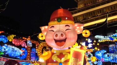 Bienvenido, año del cerdo
