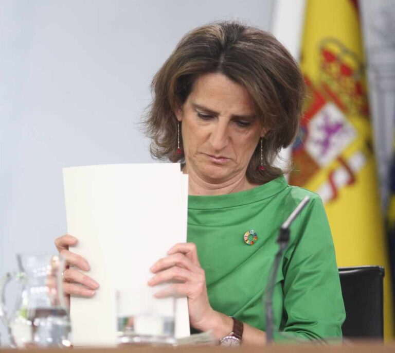 La cogeneración asumirá la mitad del recorte de 1.000 millones de Ribera a las renovables