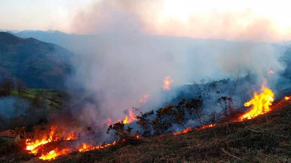 Incendio forestal en Asturias.