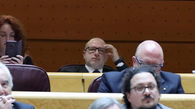 Francisco José Alcaráz (en el centro, al fondo), durante su primera sesión en el Senado.