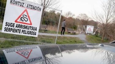 La víbora mortal de Gabón que atemorizó Hondarribia era una broma pesada