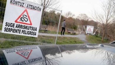 La víbora mortal de Gabón que atemorizó Hondarribia era una broma pesada