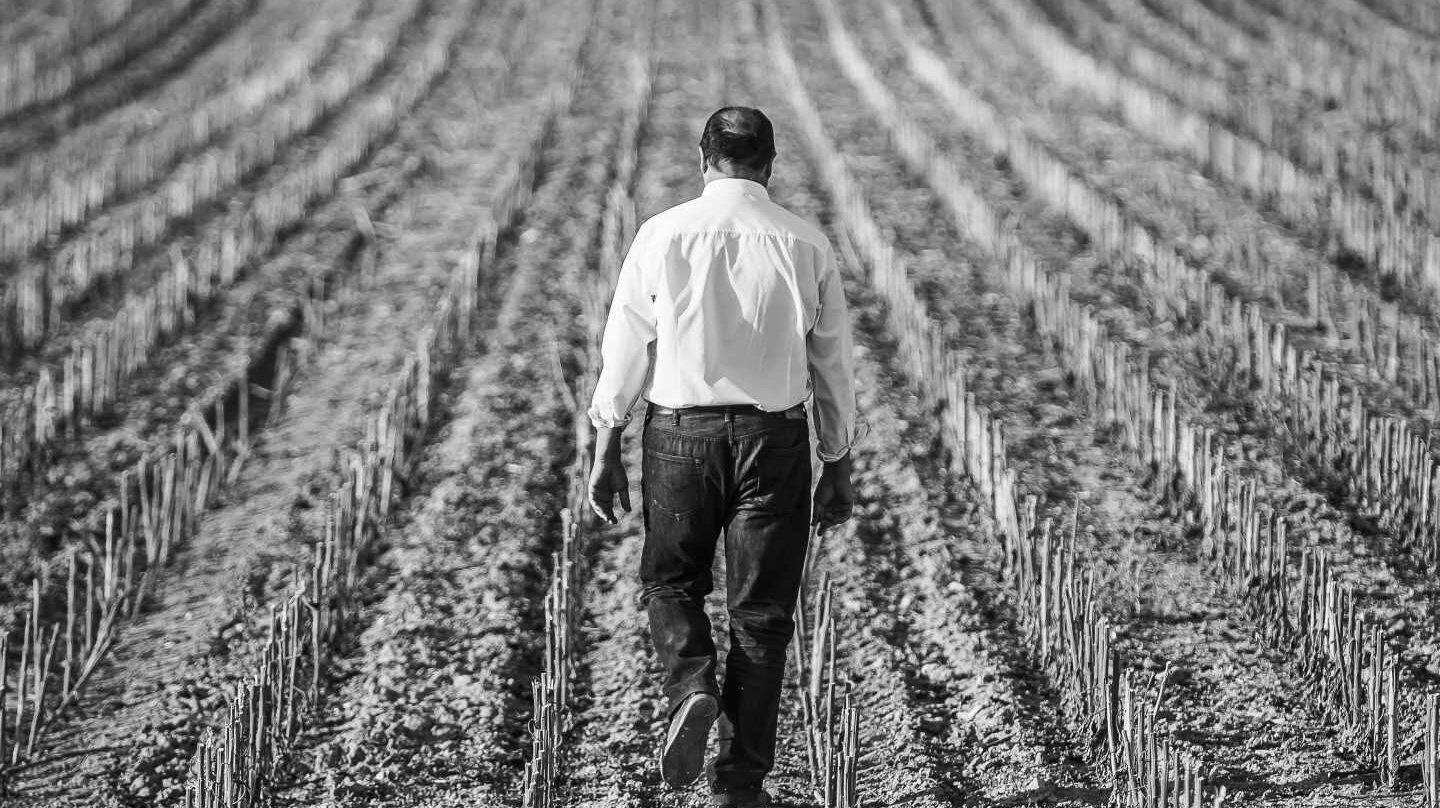 El empresario Carlos Moro en uno de los viñedos de Matarromera.