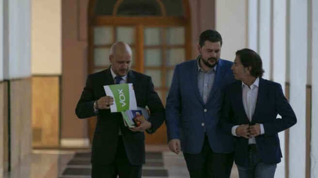Rodrigo Alonso, secretario del grupo Vox en el Parlamento Andaluz.