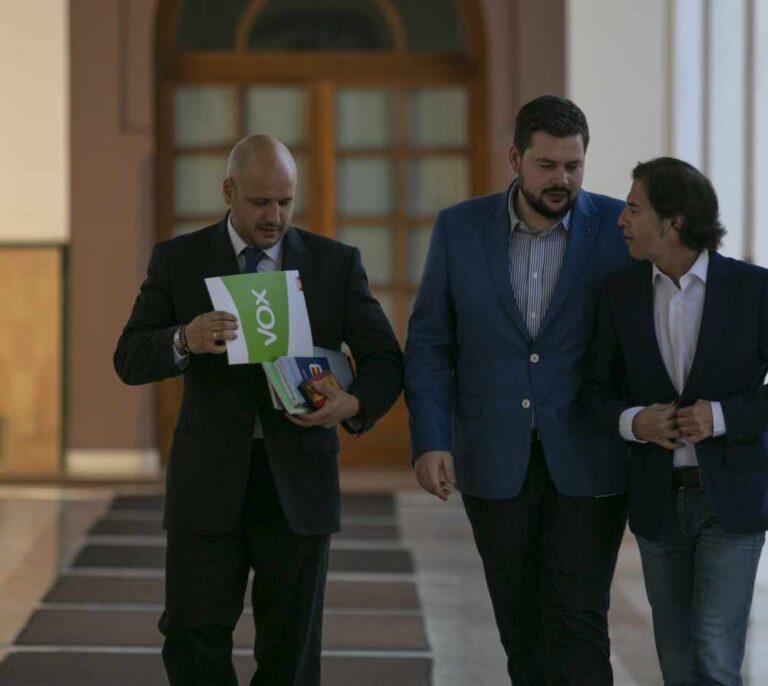 Vox insiste y pedirá los datos profesionales de los funcionarios de violencia machista