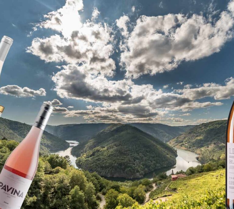 Siete vinos rosados y una revolución